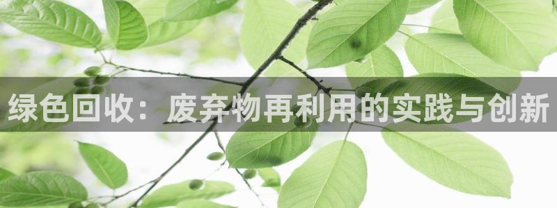 意昂体育5(KGAME)平台:绿色回收:废弃物再利用的实践与