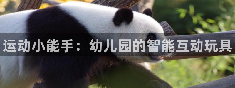 意昂5(KGAME)科技:运动小能手:幼儿园的智能互动玩具