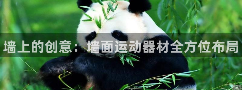 意昂5(KGAME)新能源:墙上的创意:墙面运动器材全方位布